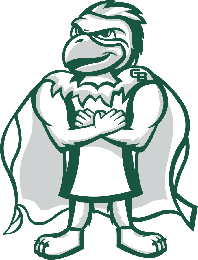 Wisconsin-Green Bay Phoenix 2020-Pres Mascot Logo iron on transfers for T-shirts